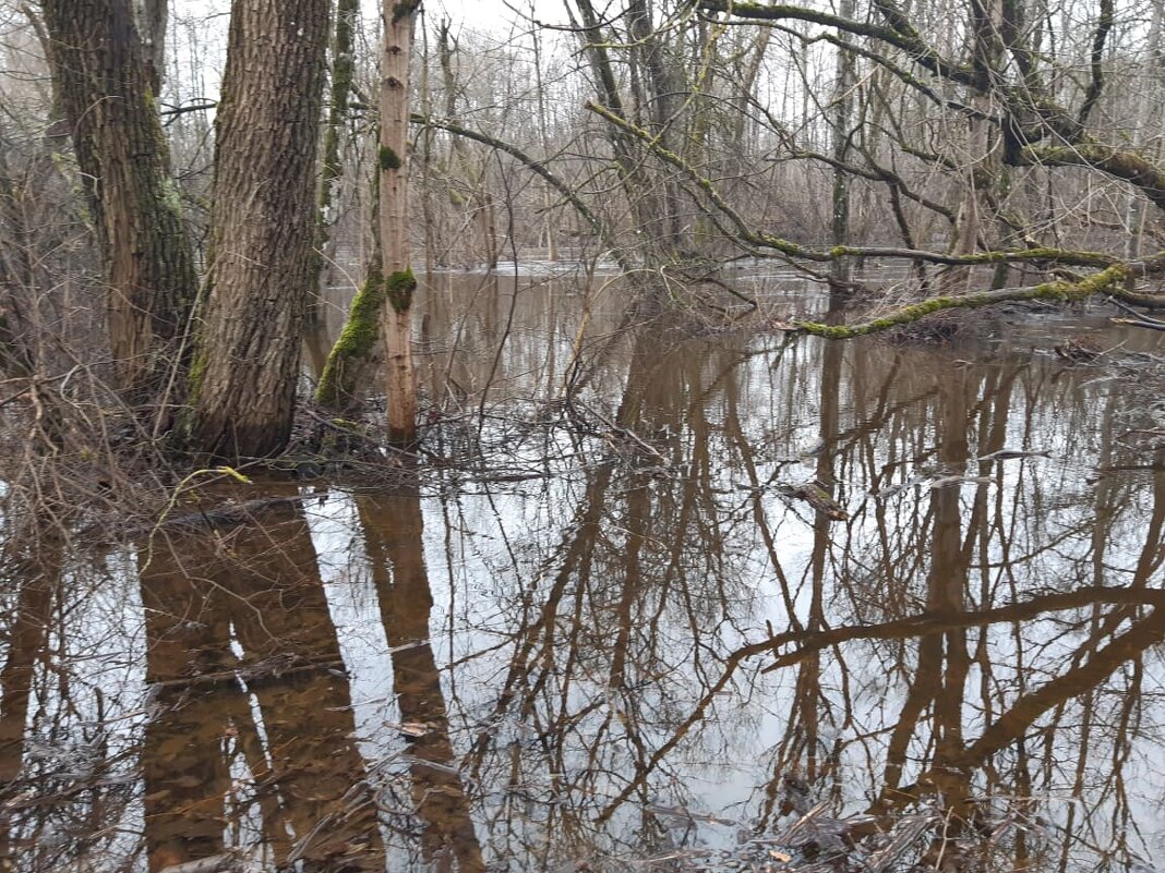 Lėvuo river, 22 02 2022 - silvestras gaiziunas gaiziunas