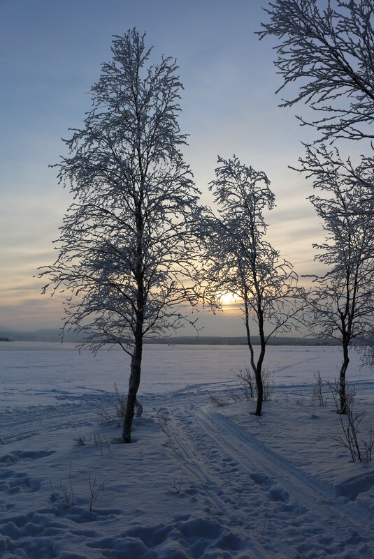 Зимний день - Ольга 