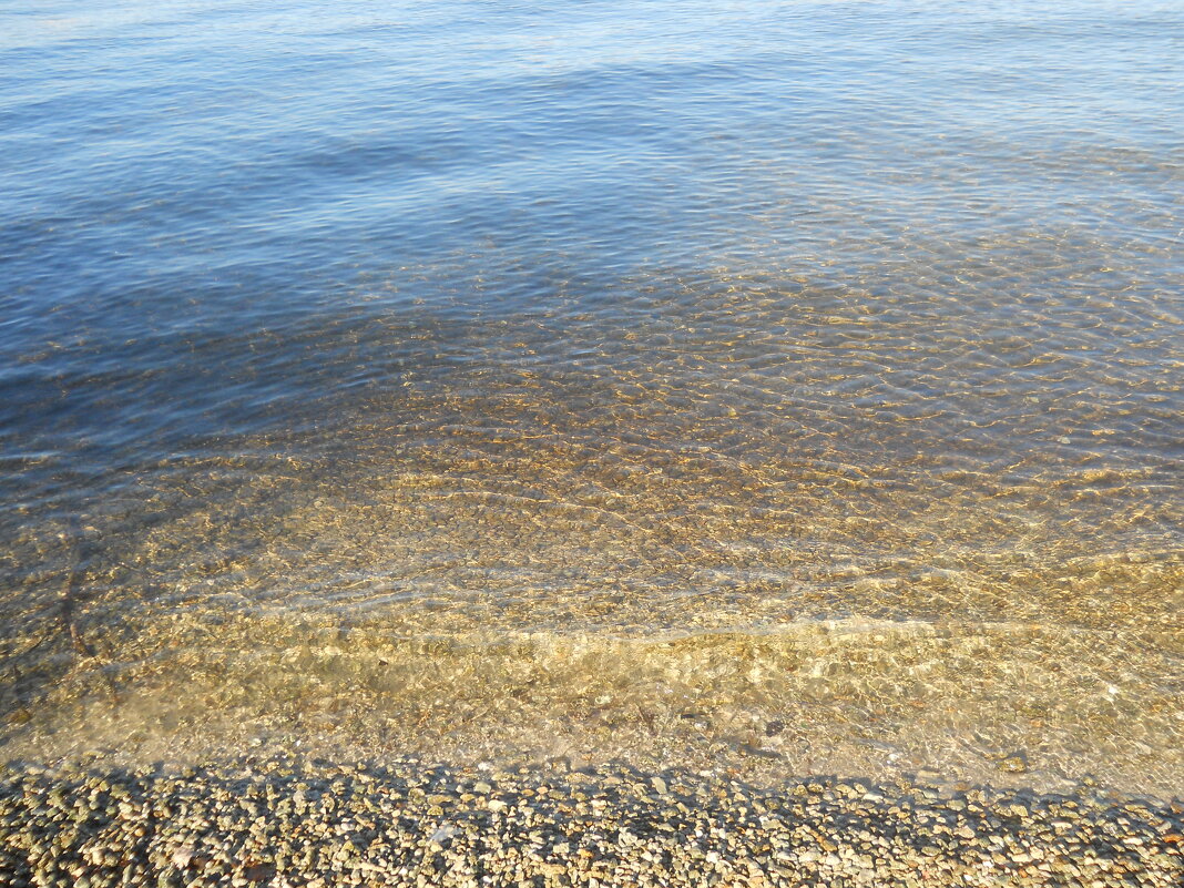 Вода у берега - Галина Квасникова