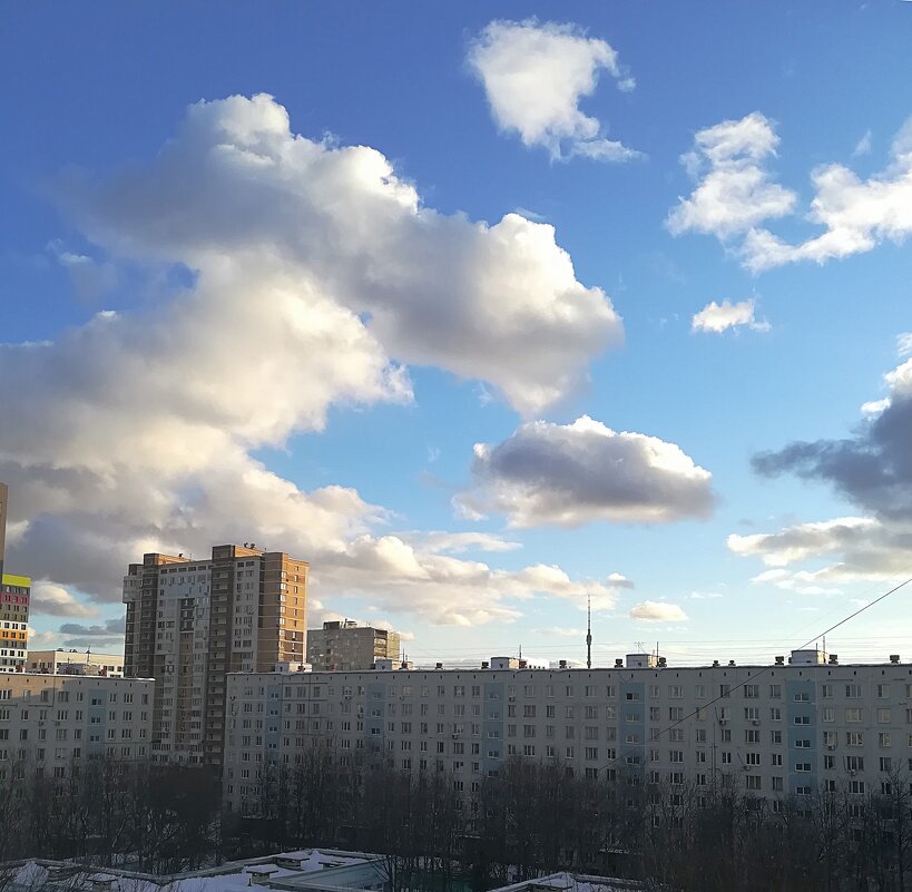 Плывут по небу облака - Ольга Довженко