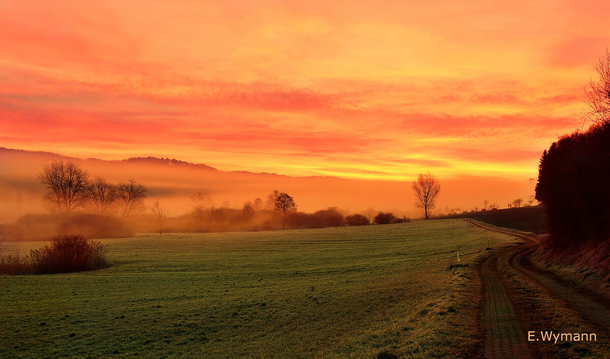 winter sunrise - Elena Wymann