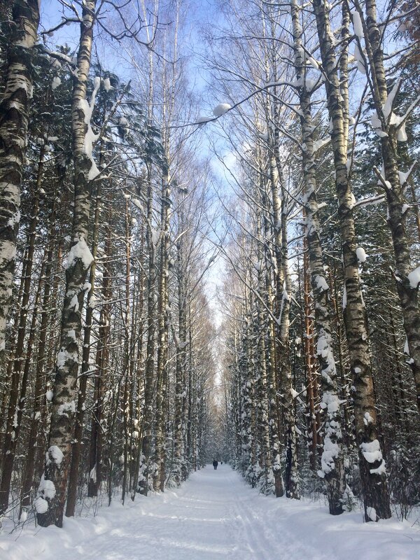 По аллее парка - Татьяна 