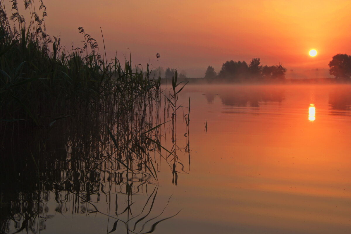 Солнце над озером. - Анатолий Борисов