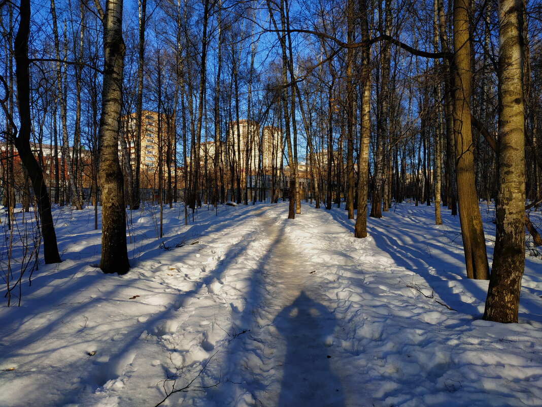 Последний день зимы - Андрей Лукьянов
