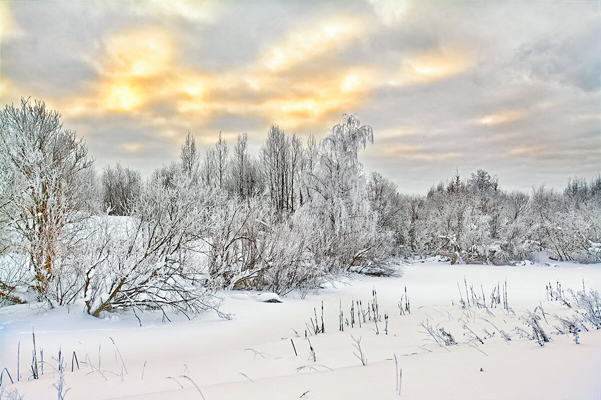 Снежный февраль - Юрий Митенёв