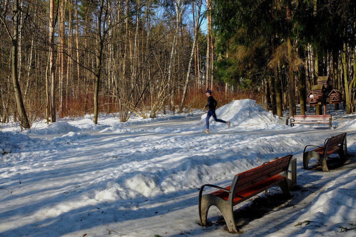 В парке - Михаил Рогожин