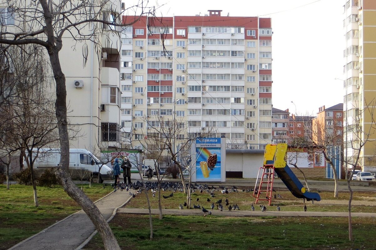 Начало января в Краснодаре - Татьяна Смоляниченко