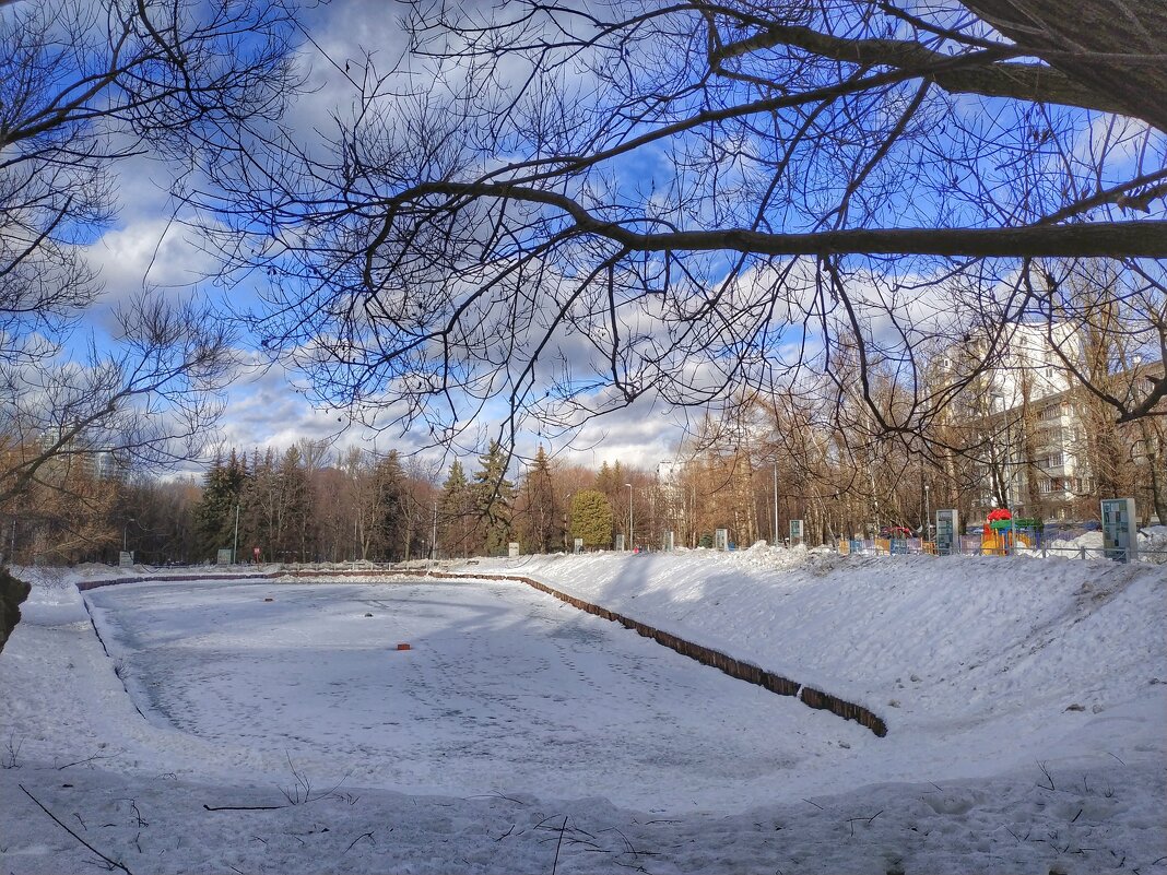 городской пруд - Валентина. .