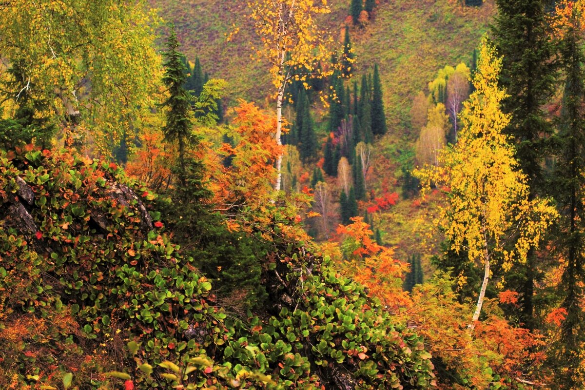 Осень в горах - Сергей Чиняев 