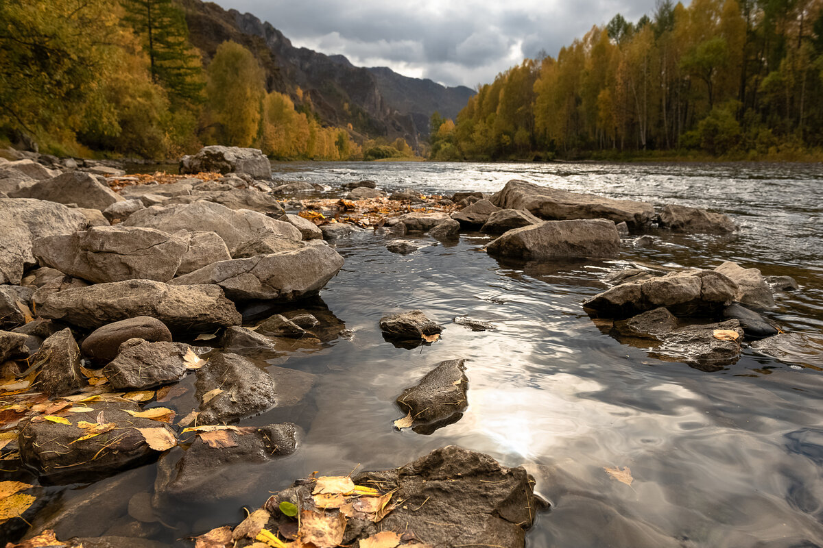 Осень на реке Белый Июс - Марина Фомина.