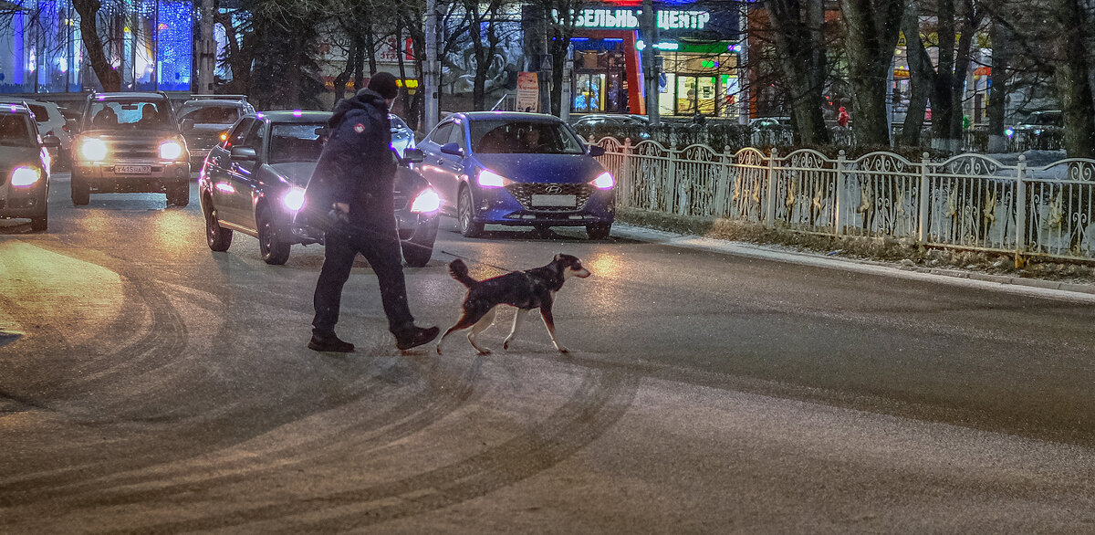 На пешеходном переходе. - Эдуард Сычев