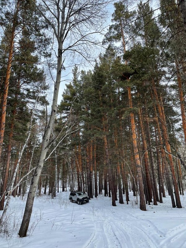 Лесной тракт... - Георгиевич 