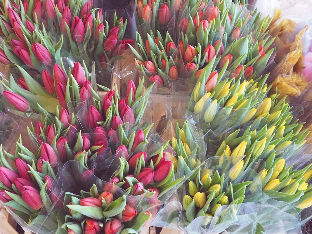 Цветочный базар в Стокгольме - wea *
