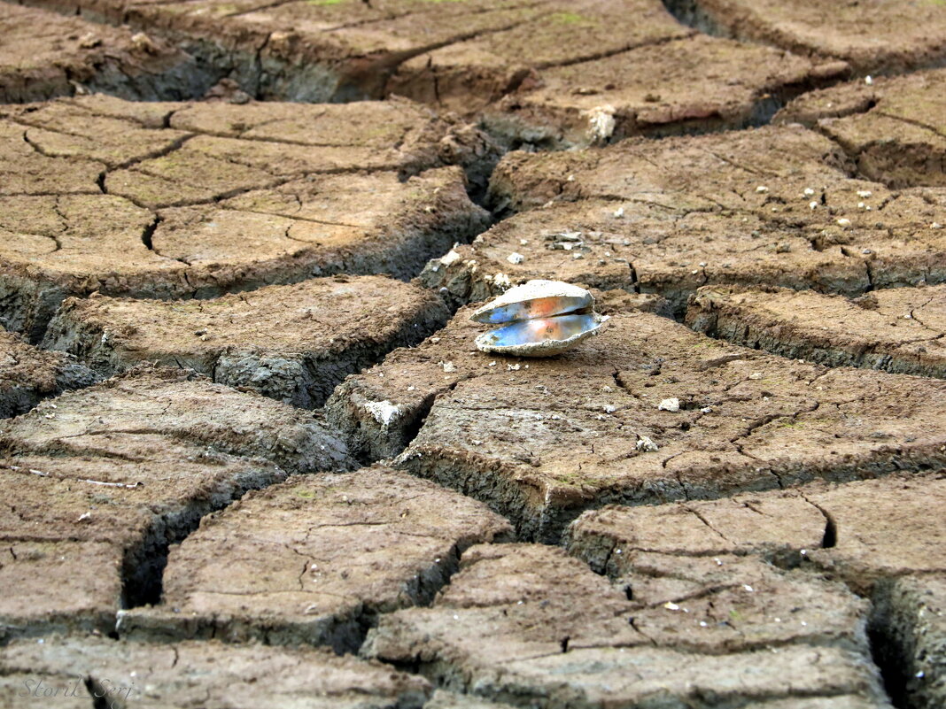 Город без воды - Сергей Скорик