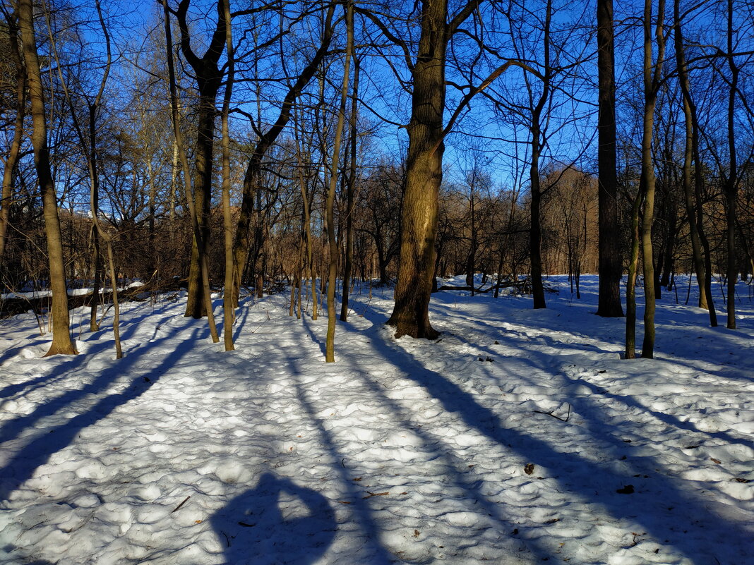 Чего я ждал целую зиму - Андрей Лукьянов