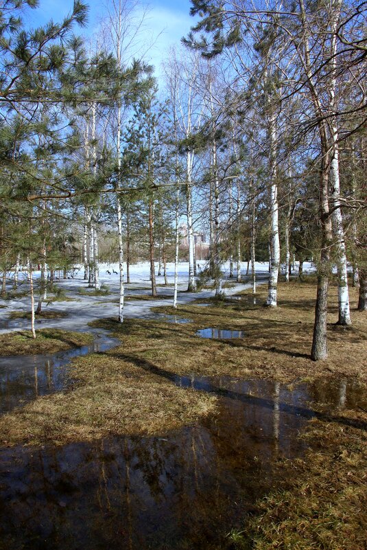 Весна - Наталья Герасимова