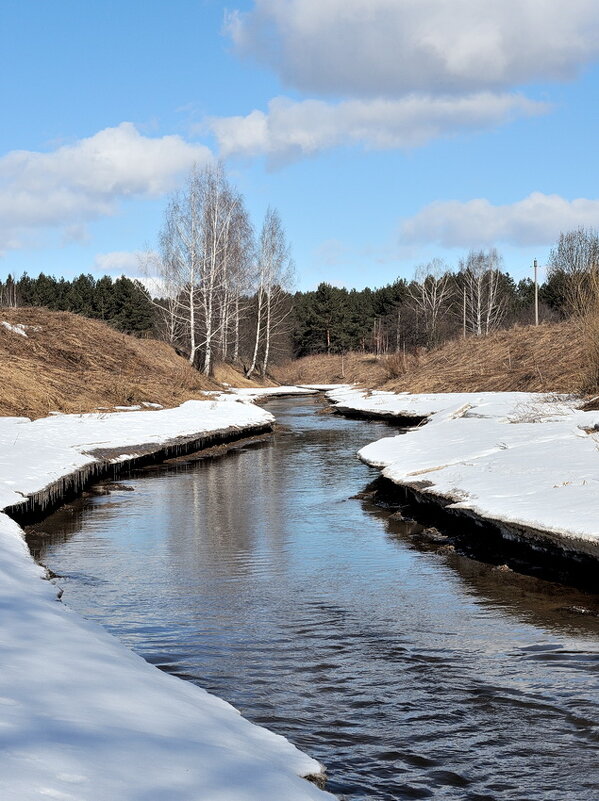 Скромная красота весеннего мартовского пейзажа, речка Прорва возле Ярославля - Николай Белавин