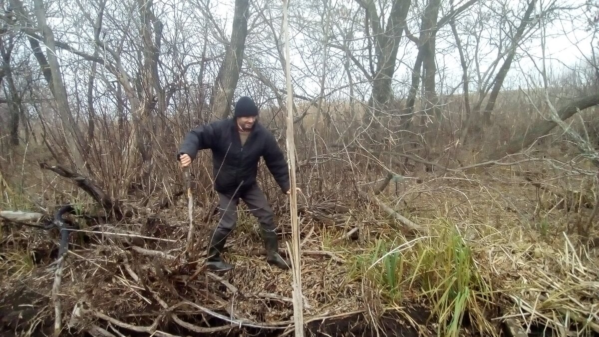 В МЕСТНЫХ ДЖУНГЛЯХ! - Сергей Белов