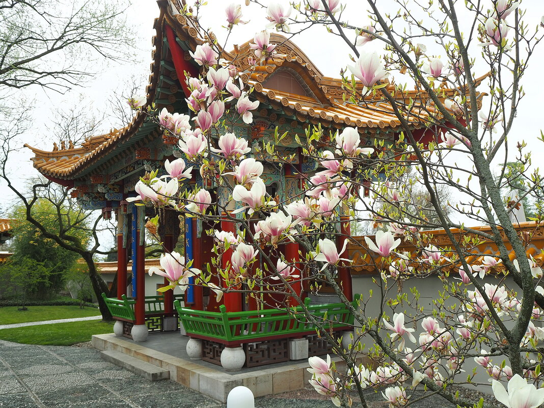 Цюрих Швейцария Китайский сад - wea *