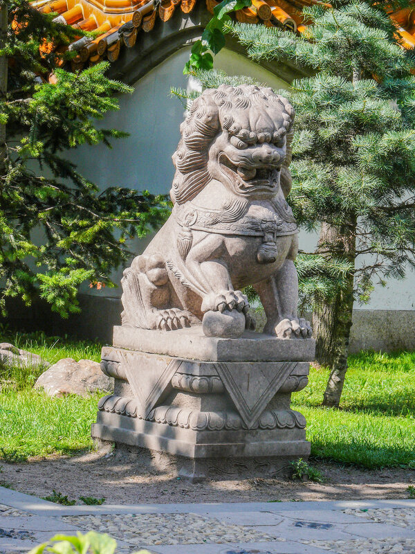 Сторожевой китайский лев Ши-Цза на Литейном проспекте - Стальбаум Юрий 