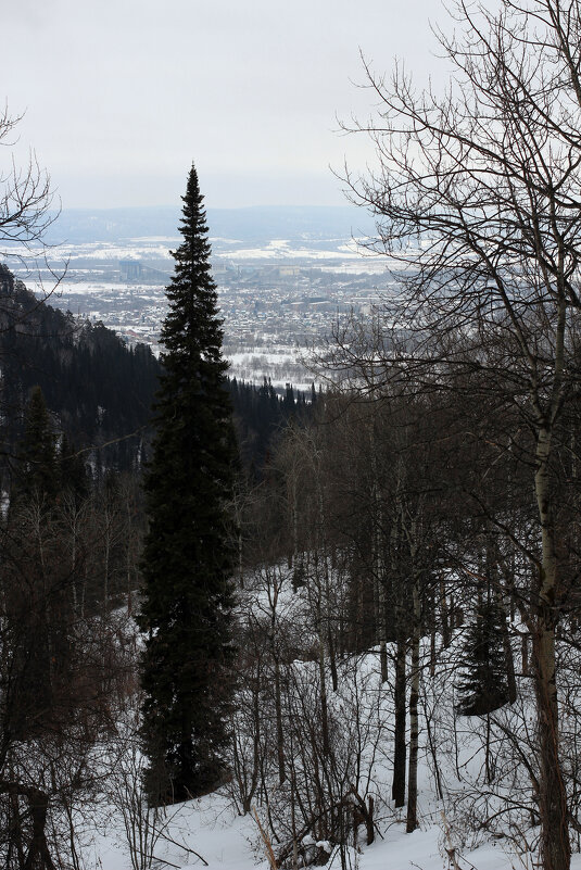 Весна. - Радмир Арсеньев