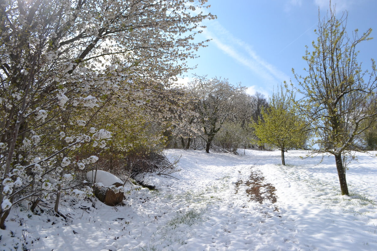 апрельский снег - Татьяна 