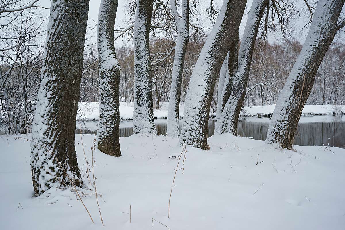 Снегопад в апреле - Сергей Курников