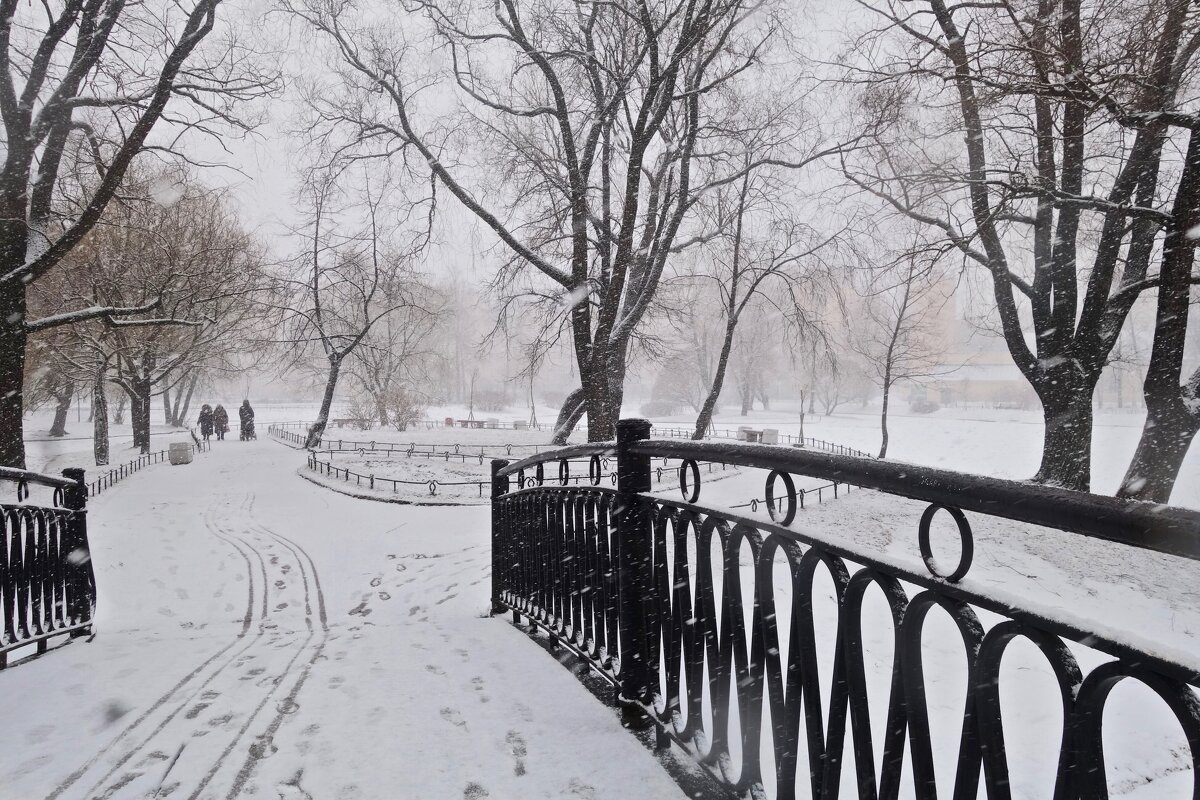 зима в Юсуповском саду - Елена 