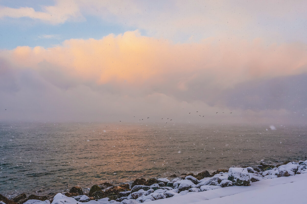 Снежный рассвет на море - Сергей Сабешкин