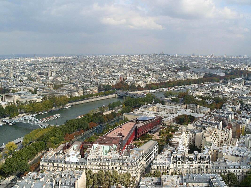 Вид на Париж и Сену с Эйфелевой башни. - Ольга Довженко