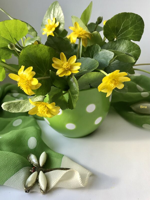 Яркая зелень, желтые цветы, стрекоза присела) Привет всем от Весны) - Альбина 