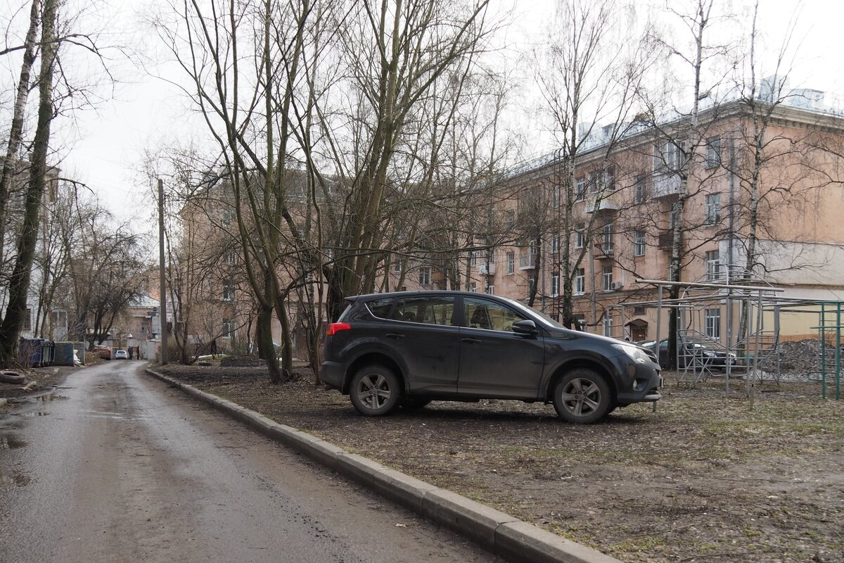 мусор на газоне - Василий Петрович .