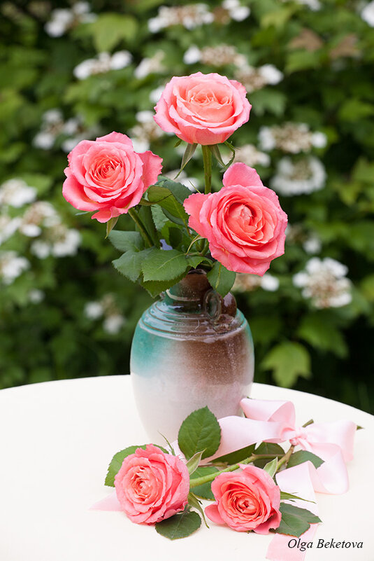 Розы в саду - Ольга Бекетова