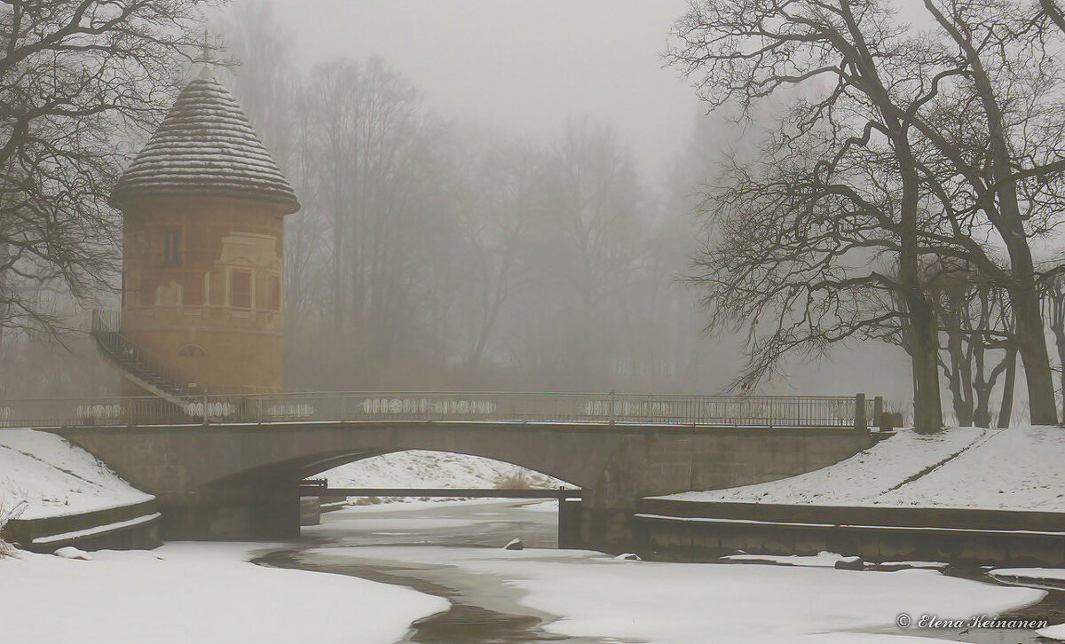Зимний туман - Елена 