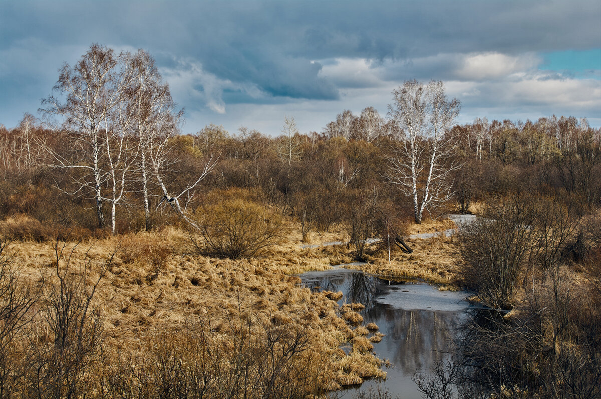 *** - Алексей Мезенцев