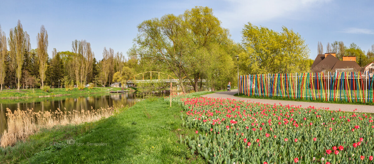 А в парках городских весенняя пора - Игорь Сарапулов