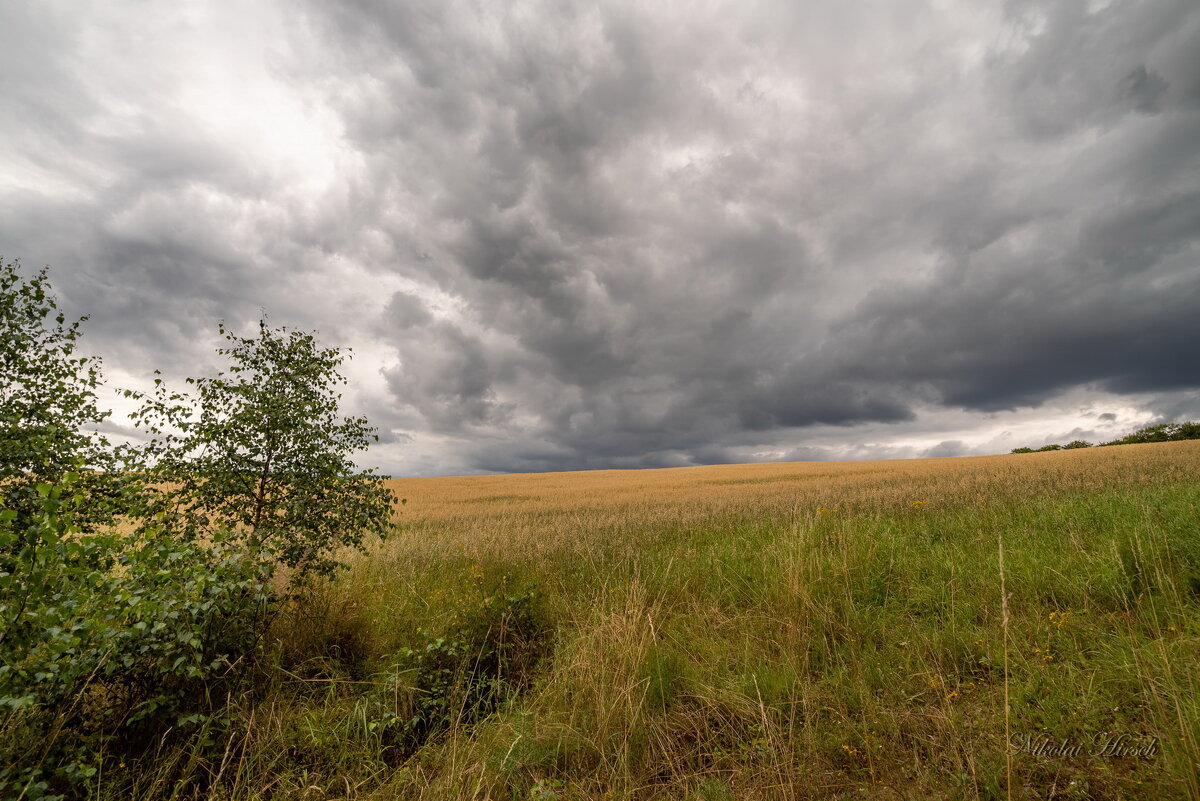 *** - Николай Гирш