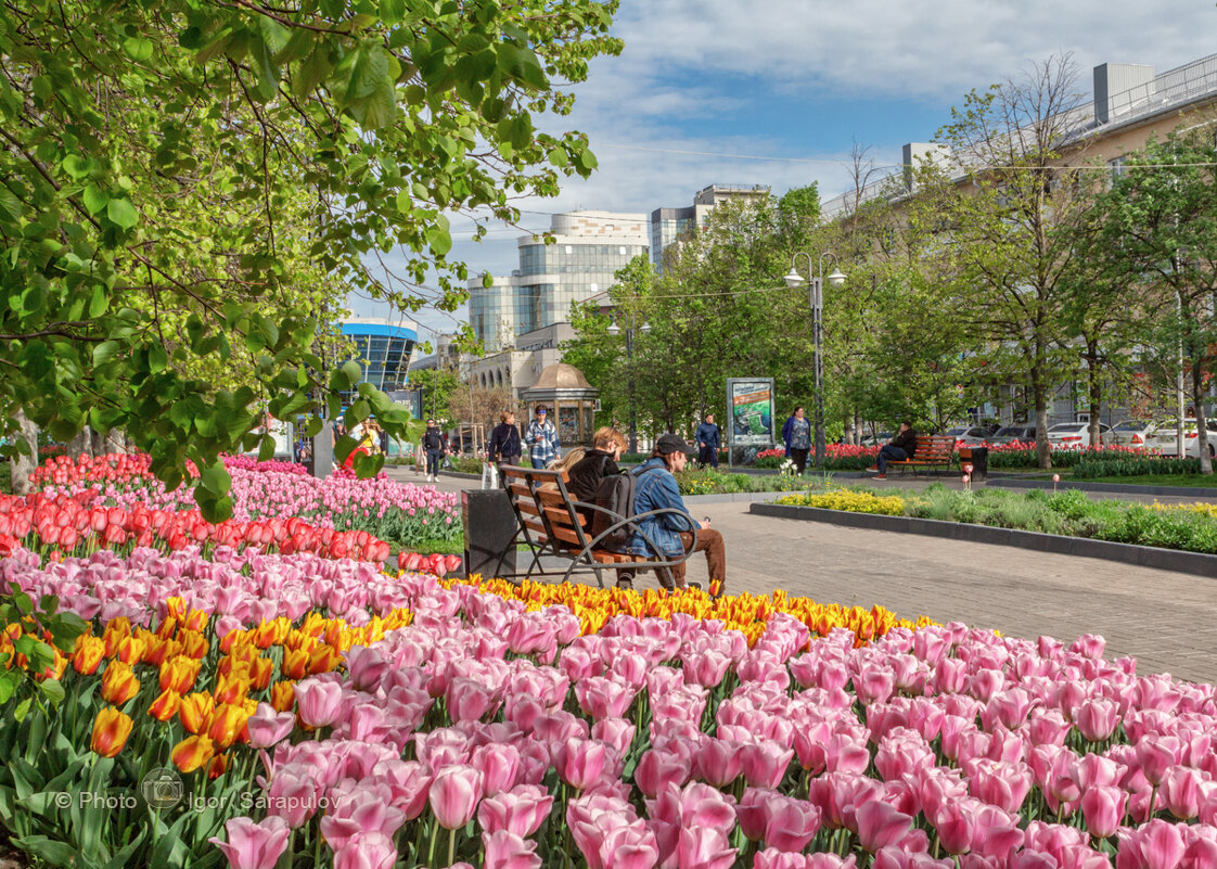 Весна в белгороде картинки