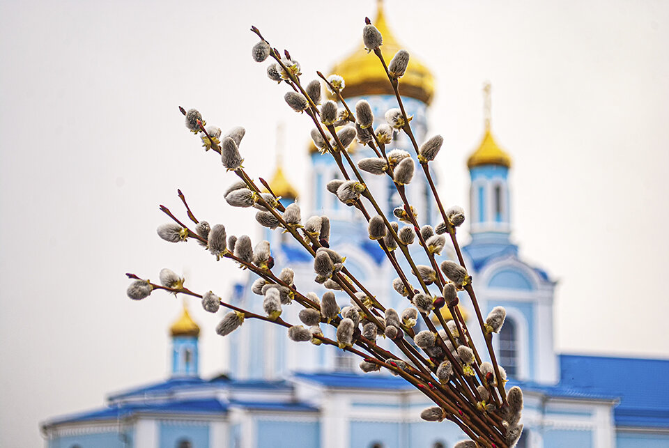 Вербное воскресенье - Татьяна 