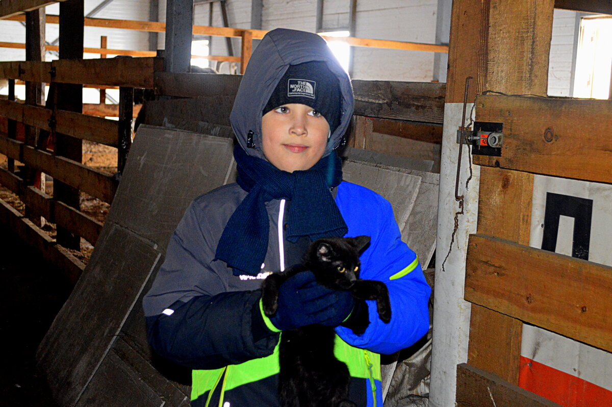 На ферме с чёрным котёнком - Татьяна Лютаева