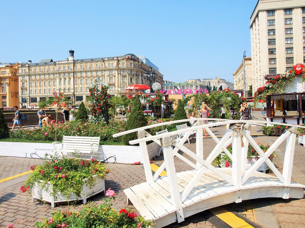 Я шагаю по Москве... - Владимир Драгунский