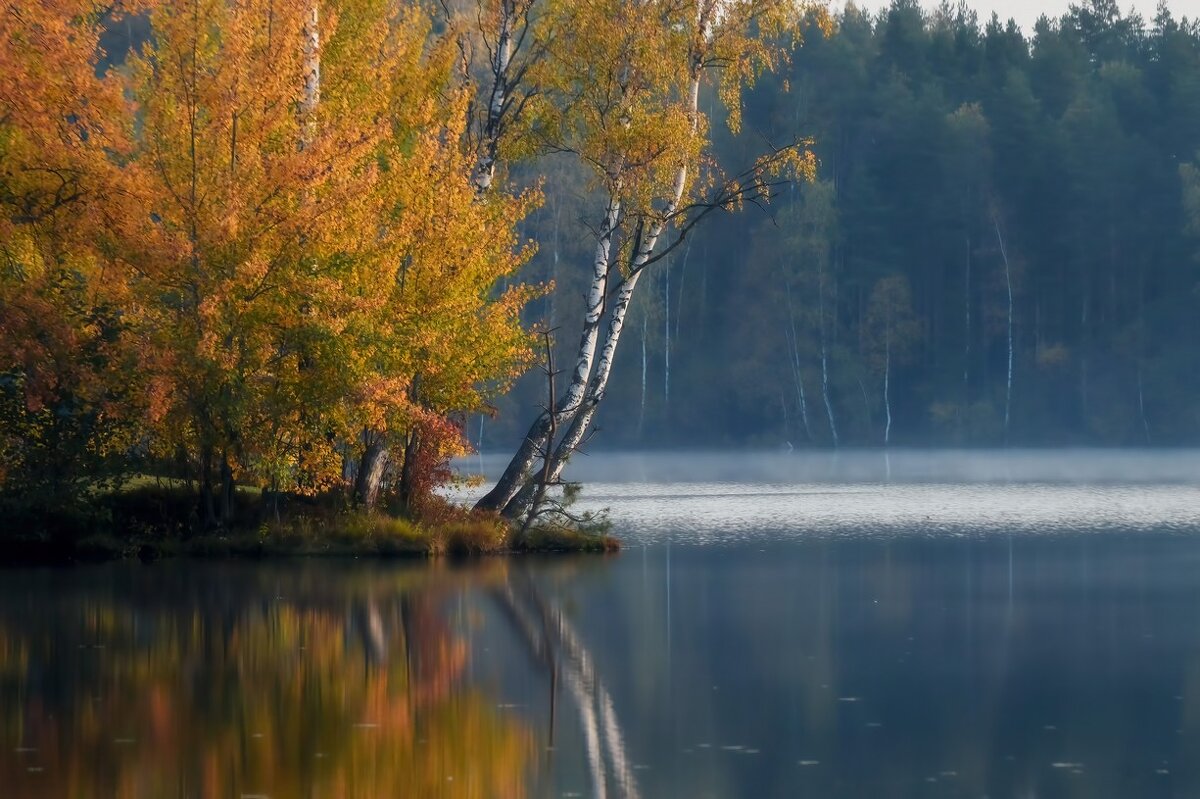 Утреннее...... - Юрий Цыплятников