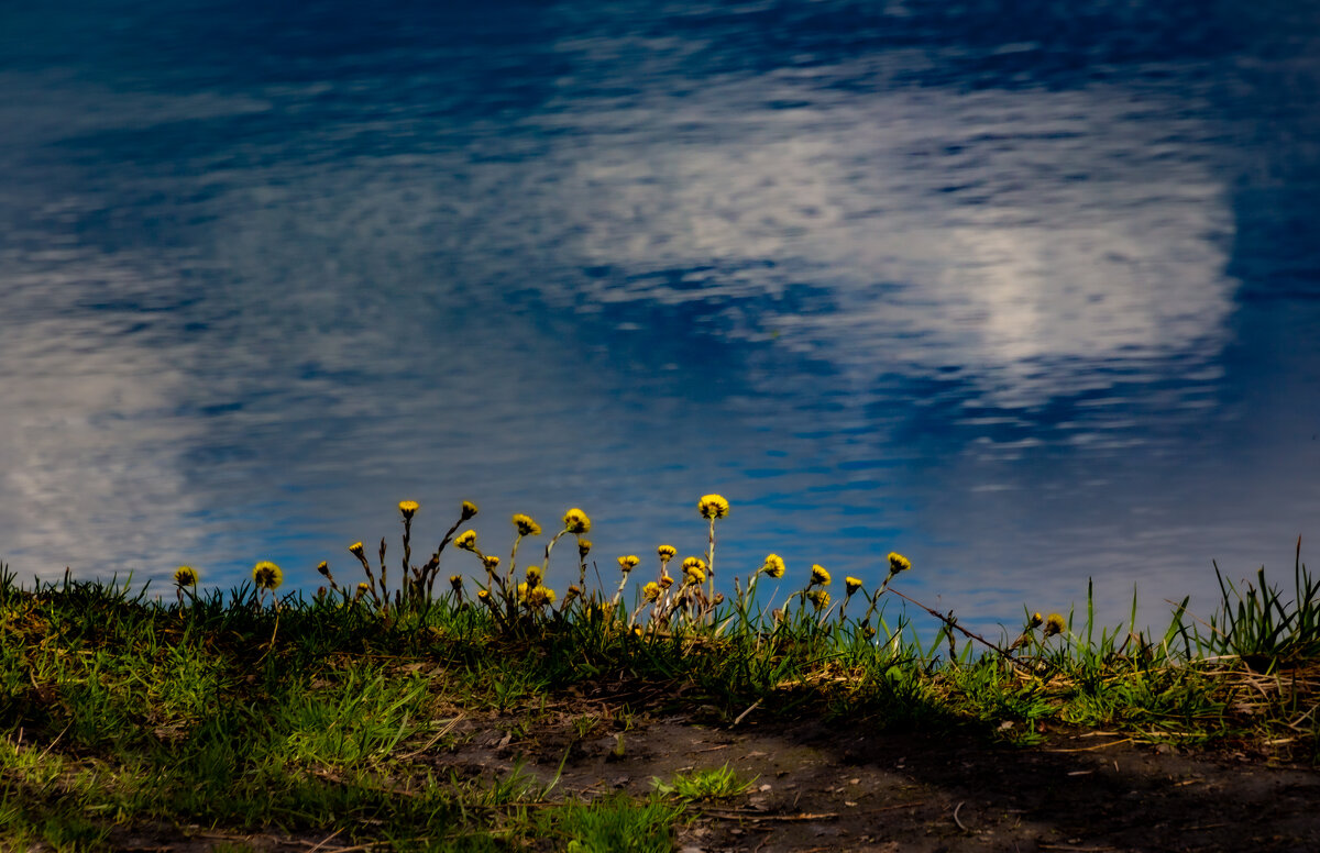 На краю - Фотограф МК