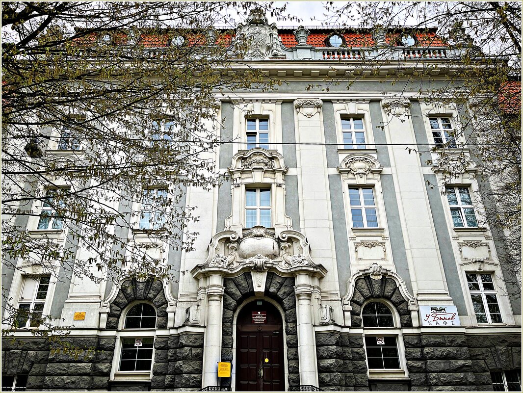 Фрагмент здания Технического Университета. - Валерия Комова