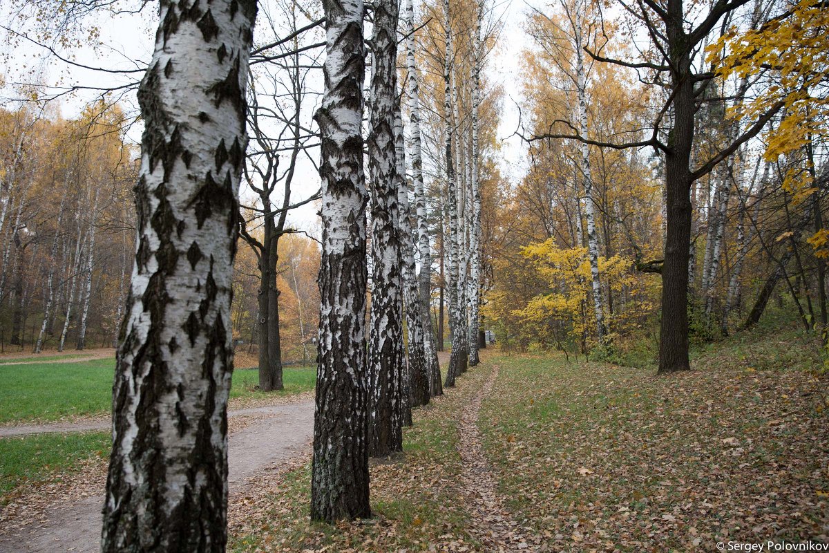 В парке - Sergey Polovnikov