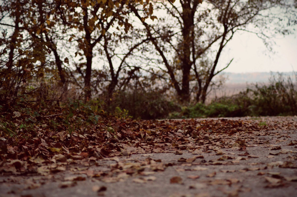 autumn - Даша Ерошенкова