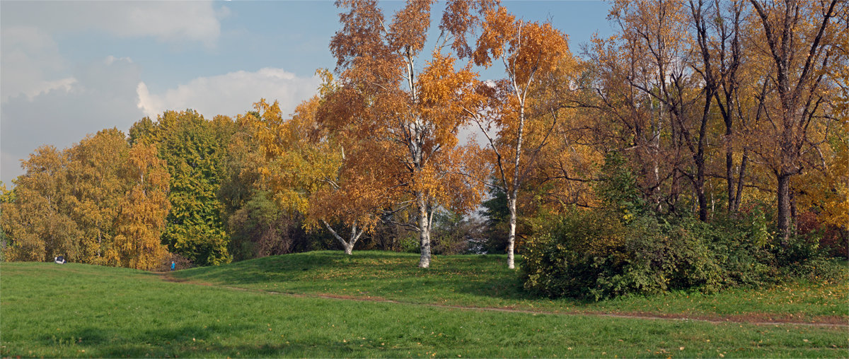 Sunny day - Roman Ilnytskyi