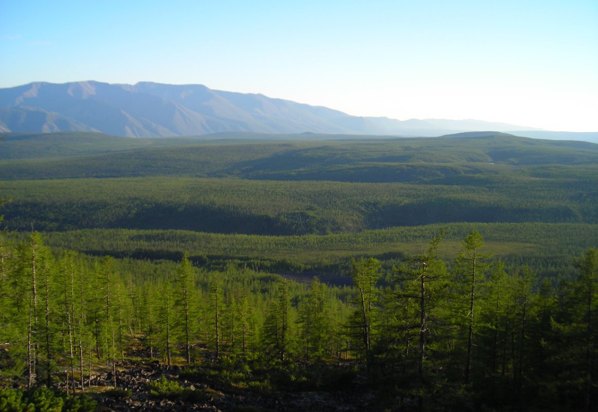 *** - Александр Хаецкий