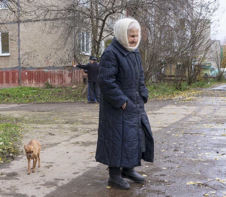 Бабушка с собачкой - Валерий Молоток