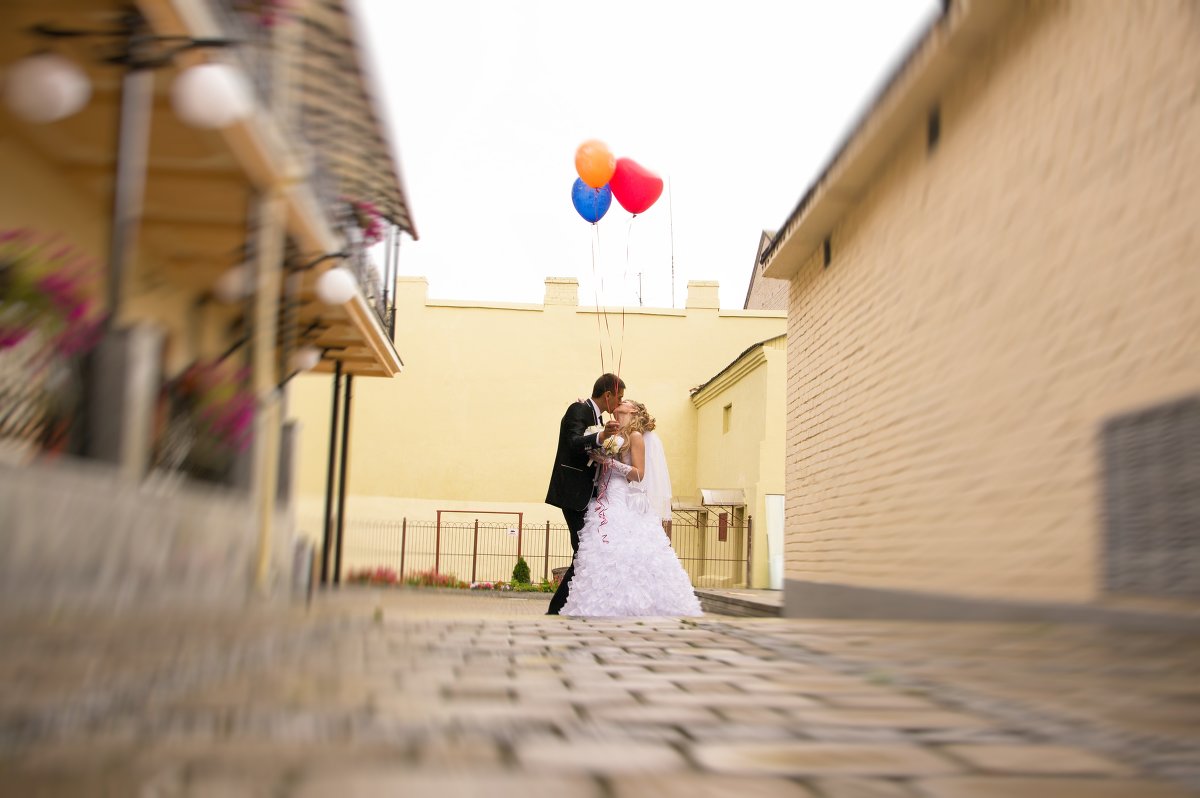 wedding - СВЕТЛАНА ЛЕБЕДЬ